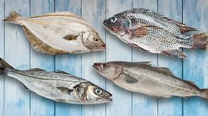 Fish Products